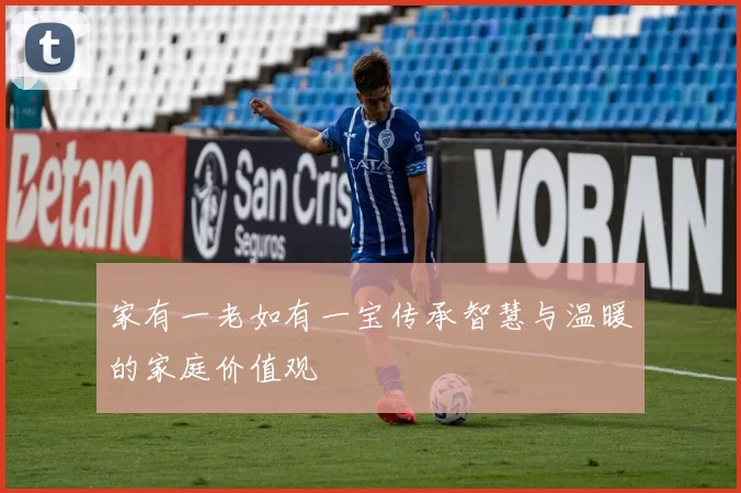 家有一老如有一宝传承智慧与温暖的家庭价值观